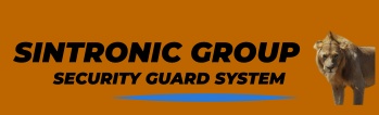 ShenZhen Sintronic Technology Company Limited