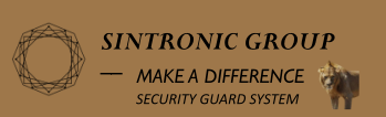 ShenZhen Sintronic Technology Company Limited