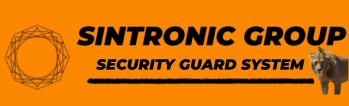 ShenZhen Sintronic Technology Company Limited